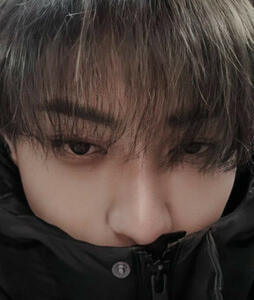 Z.TAO